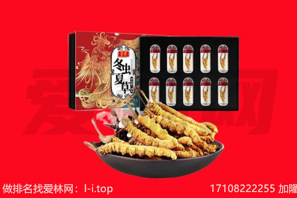 湟源虫草回收